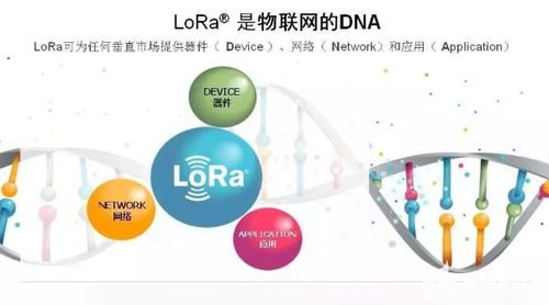 LoRa 開(kāi)啟物聯(lián)網(wǎng)大規(guī)模推廣的理想技術(shù)選擇